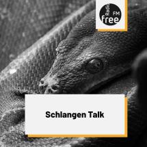 Average GUY - www.pexels.com