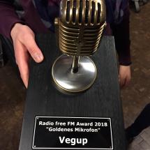 G7 Award 2018: Goldenes Mikrofon für Vegup